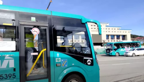 Студенты из семей участников СВО в Республике Алтай получат право на льготный проезд