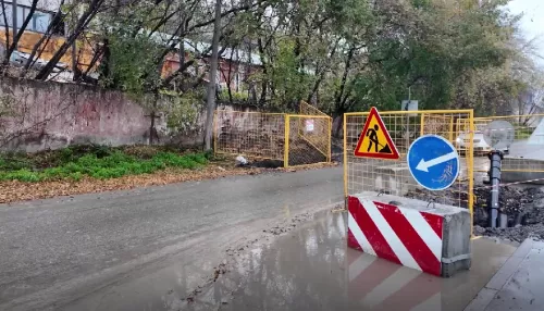 В Барнауле на улице Мамонтова продолжит действовать ограничение дорожного движения