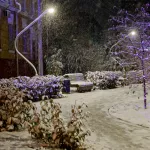 Гидрометцентр: в России около половины территории уже покрыто снегом