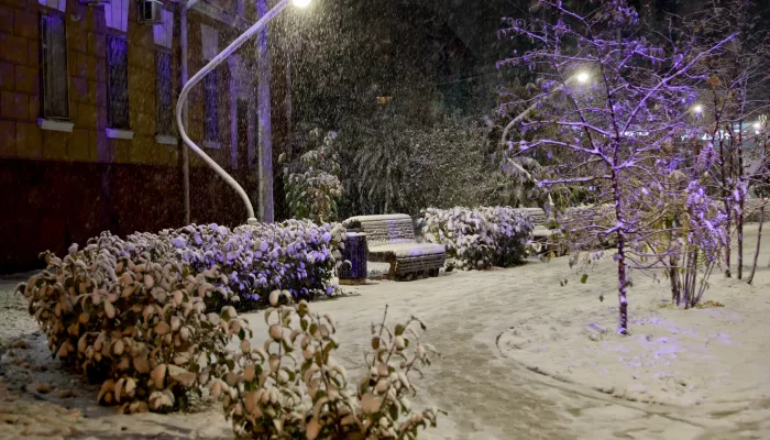 Гидрометцентр: в России около половины территории уже покрыто снегом Гидрометцентр: в России около половины территории уже покрыто снегом