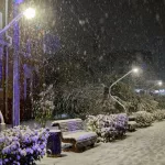 Метели, гололед и волна мороза ожидаются в Алтайском крае на новой неделе