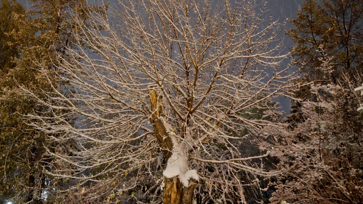 Снег в Барнауле. Погода.