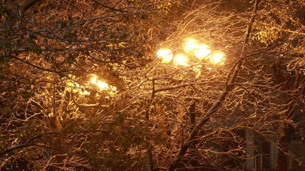 Первый снег в Барнауле