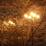 Похолодание, дожди и мокрый снег ожидаются в Алтайском крае 4 ноября