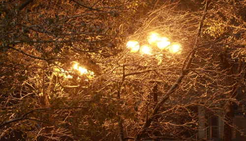 Похолодание, дожди и мокрый снег ожидаются в Алтайском крае 4 ноября