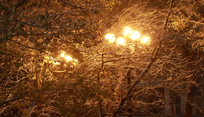 Похолодание, дожди и мокрый снег ожидаются в Алтайском крае 4 ноября