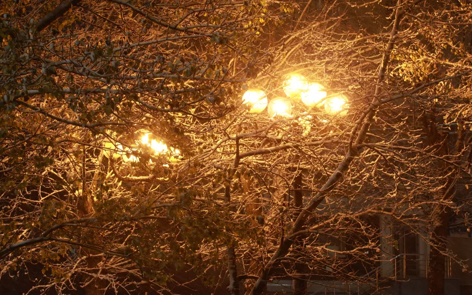 В последний день осени в Алтайском крае будет морозно