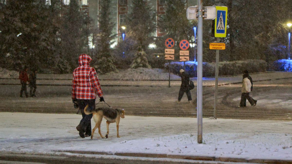 Снег. Погода. Зима.