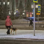 Новогодние праздники впереди. Когда начнутся зимние каникулы у школьников и взрослых