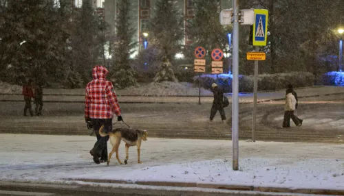 Новогодние праздники впереди. Когда начнутся зимние каникулы у школьников и взрослых