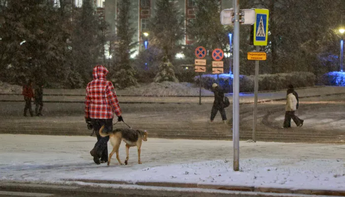 Новогодние праздники впереди. Когда начнутся зимние каникулы у школьников и взрослых