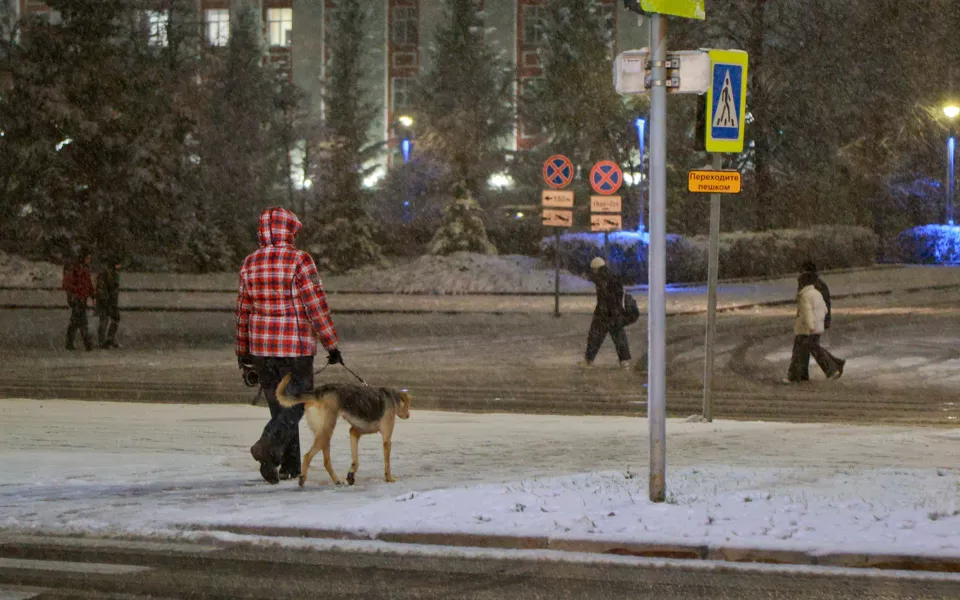 Алтайский край ждет ночное похолодание до -28 градусов
