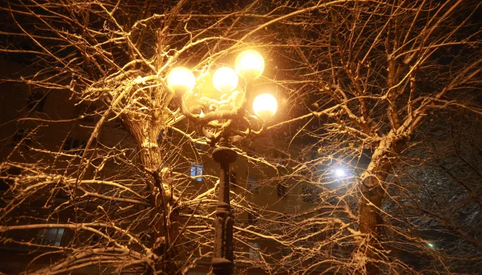 В Алтайский край в предновогодние выходные пришли морозы: когда потеплеет