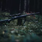 Браконьер убил двух косуль в Республике Алтай и получил условный срок