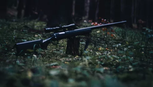 Житель Республики Алтай незаконно застрелил трех сибирских косуль