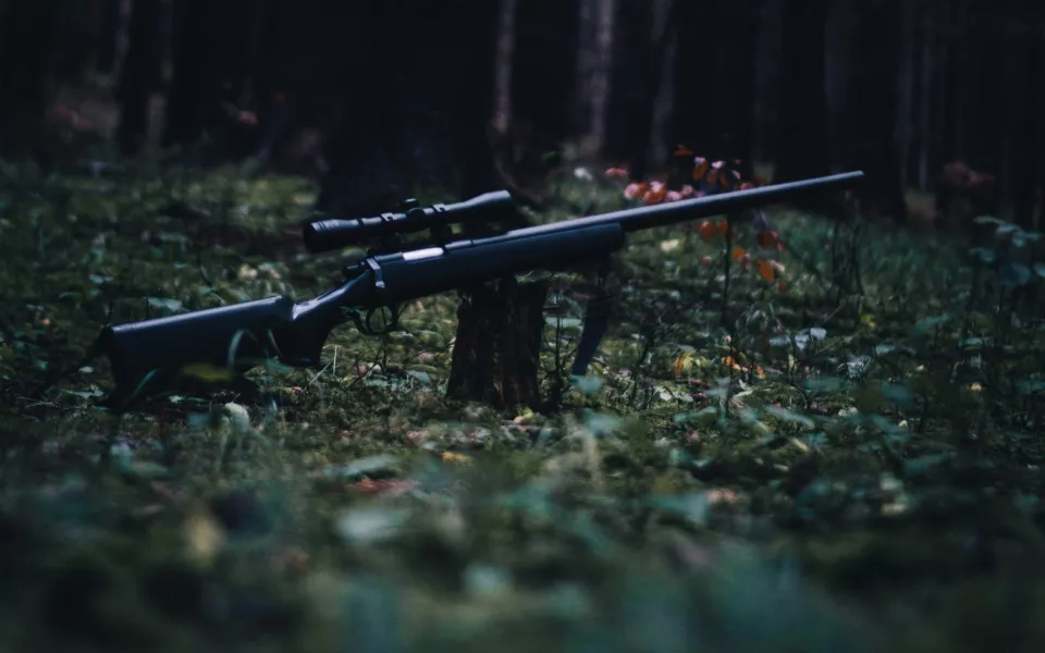 Браконьер убил двух косуль в Республике Алтай и получил условный срок