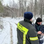 Телефоны пропавшей в сибирской тайге семьи отключились во время метели