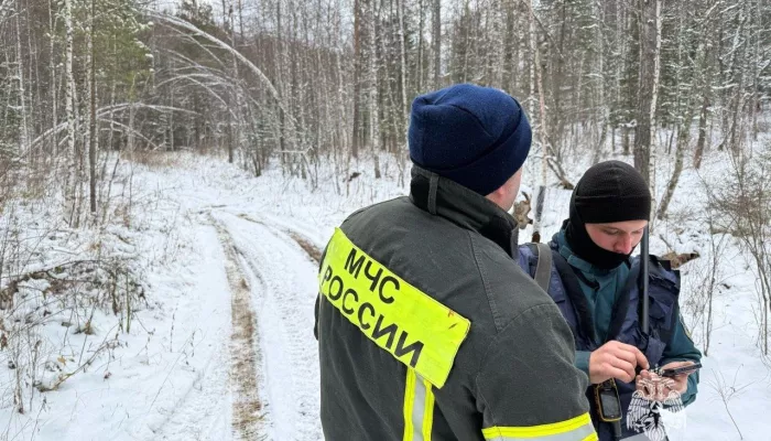Телефоны пропавшей в сибирской тайге семьи отключились во время метели
