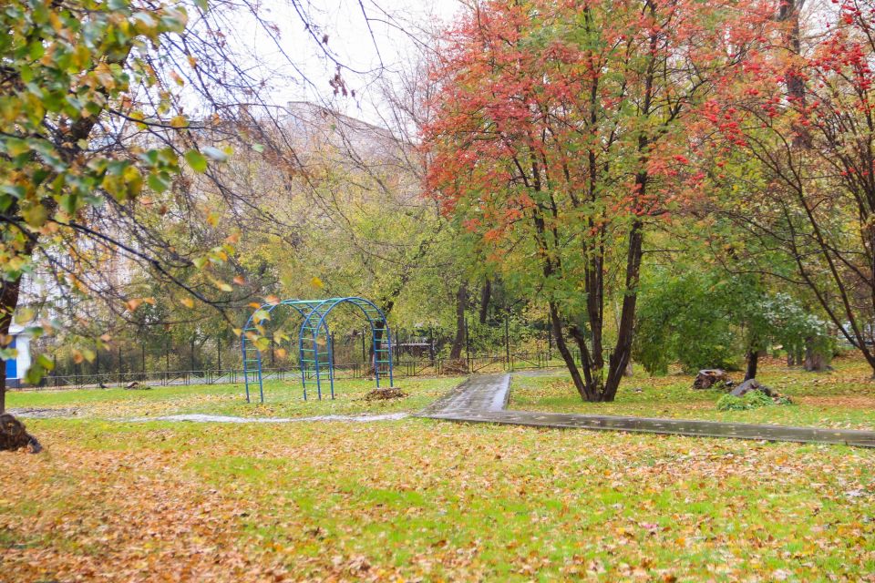 Парк ВРЗ. Октябрь 2025 года Парк ВРЗ. Октябрь 2025 года