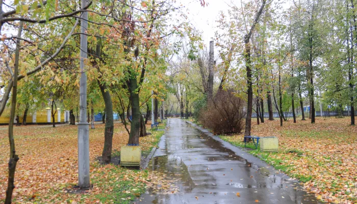 Диковатое пространство: нужна ли барнаульскому парку ВРЗ концептуальная переделка