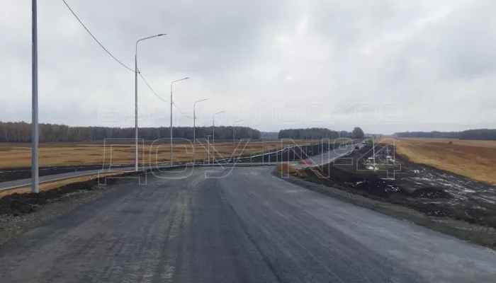 Путепровод в Панкрушихинском районе готов более чем на 90%