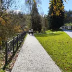 60% выручки: почему санатории стали финансовым локомотивом отрасли туризма на Алтае