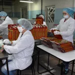 Ивановская фирма продолжает биться за поставку новогодних подарков в алтайские школы
