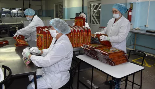 Ивановская фирма продолжает биться за поставку новогодних подарков в алтайские школы