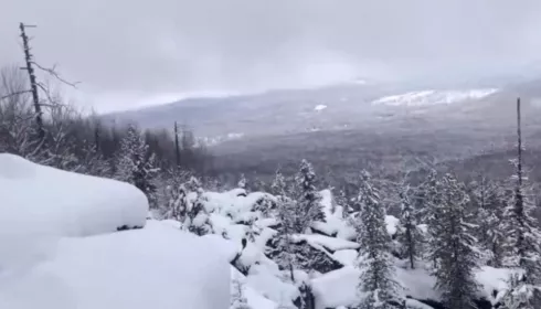 Тайна Усольцевых: найдено место, откуда мог прийти последний сигнал пропавшей семьи