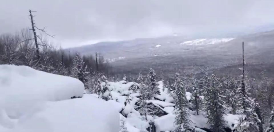 Поиски семьи Усольцевых