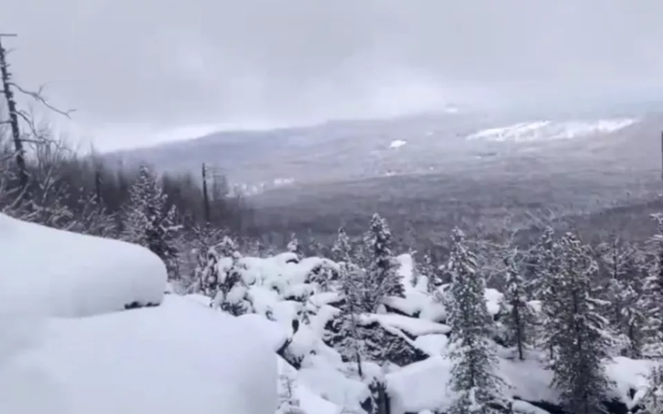 Знаток тайги раскрыл, где нужно искать семью Усольцевых