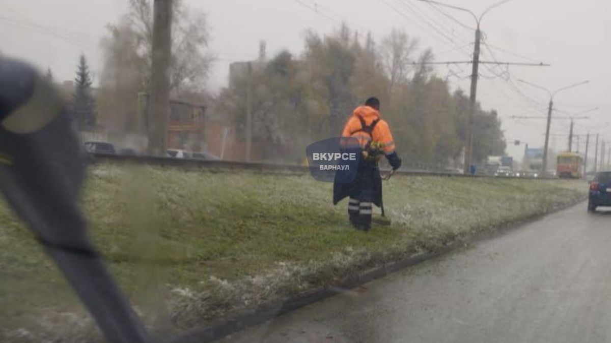 Кошение травы на улице Попова