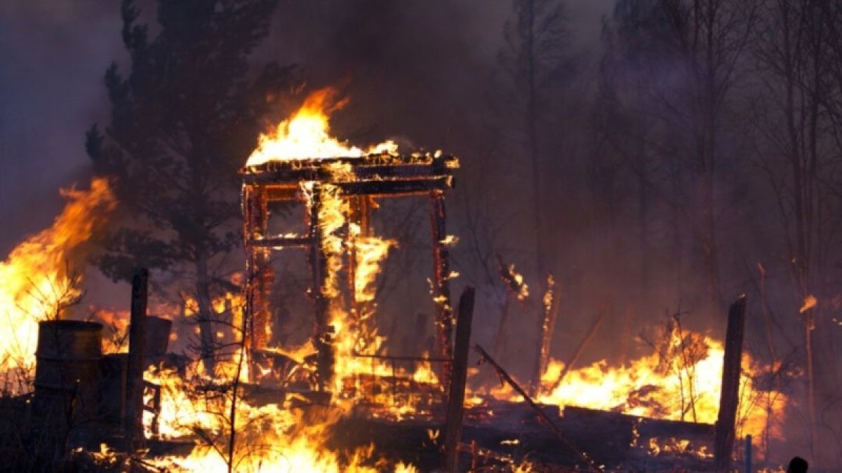 Дачный поселок горел под Барнаулом