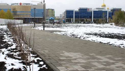 Власти Барнаула ищут подрядчиков для благоустройства трех зеленых зон