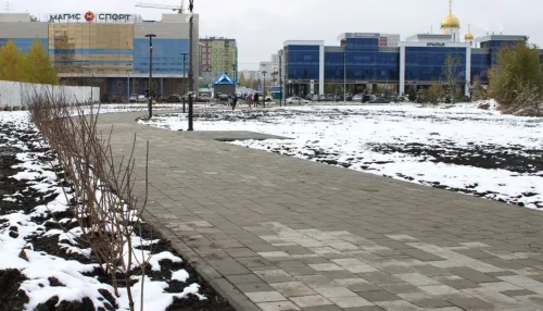 Власти Барнаула ищут подрядчиков для благоустройства трех зеленых зон