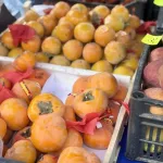 Жители Барнаула на ярмарках закупились продуктами на 11,3 млн рублей