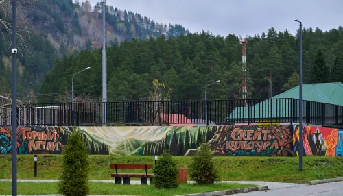 Сочные краски экстрима: скейт-парк Манжерока превратился в яркий арт-объект. Фото