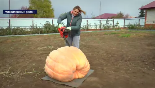 Жительница Алтайского края вырастила здоровенную тыкву