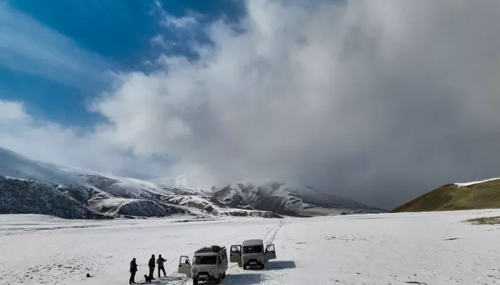 Места обитания горного барана исследуют в Республике Алтай. Фото