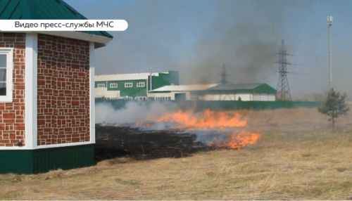 Детский лагерь едва не сгорел из-за природных пожаров в Алтайском крае