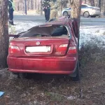Иномарка слетела с трассы и врезалась в дерево в Алтайском крае, водитель погиб