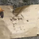 Уволен ****й!: губернатор Самарской области послал в отставку главу района