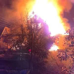 Дачный домик сгорел в барнаульском садоводстве Флора. Фото