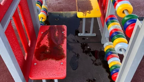 Полиция Славгорода нашла хулиганов, которые залили детскую площадку моторным маслом