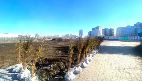 Парки преображаются: в Барнауле завершают осеннее благоустройство территорий. Фото