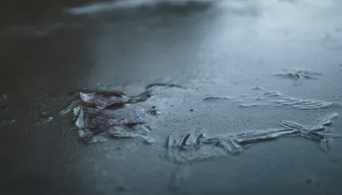 В озере под Новосибирском нашли тело утонувшего рыбака с лыжами