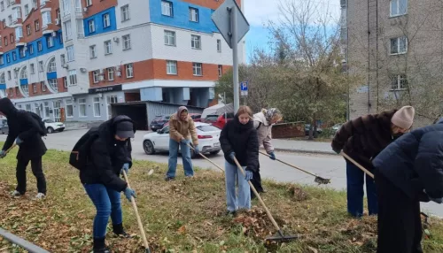 Третий чистый четверг: экологические акции прошли во всех районах Барнаула