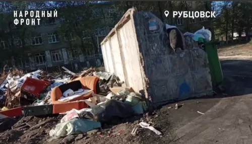 Крысы расплодились в Рубцовске из-за скопившегося мусора