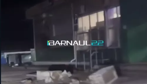 Потерял два колеса: автомобиль снес бордюры, знак и перевернулся в Алтайском крае