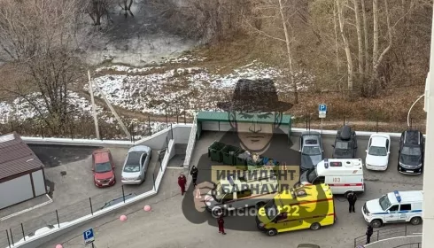 Дети провалились под тонкий лед на пруду в Барнауле